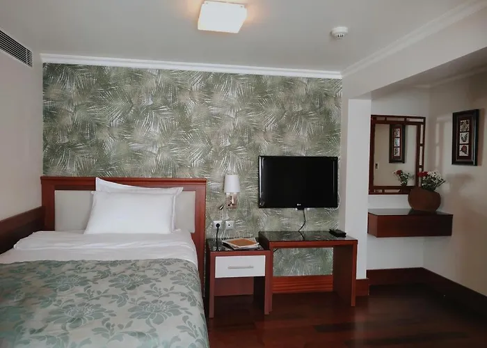 Dareyn 伊斯坦布尔