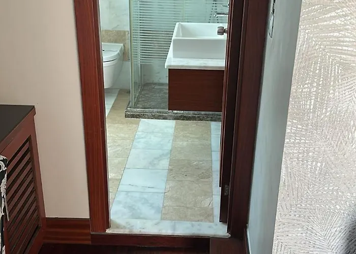 Dareyn 伊斯坦布尔